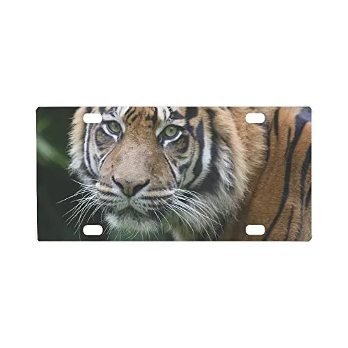 Custom Personalized Tiger Head Front License Plate 12'x6' - Metal Automotive Accessory