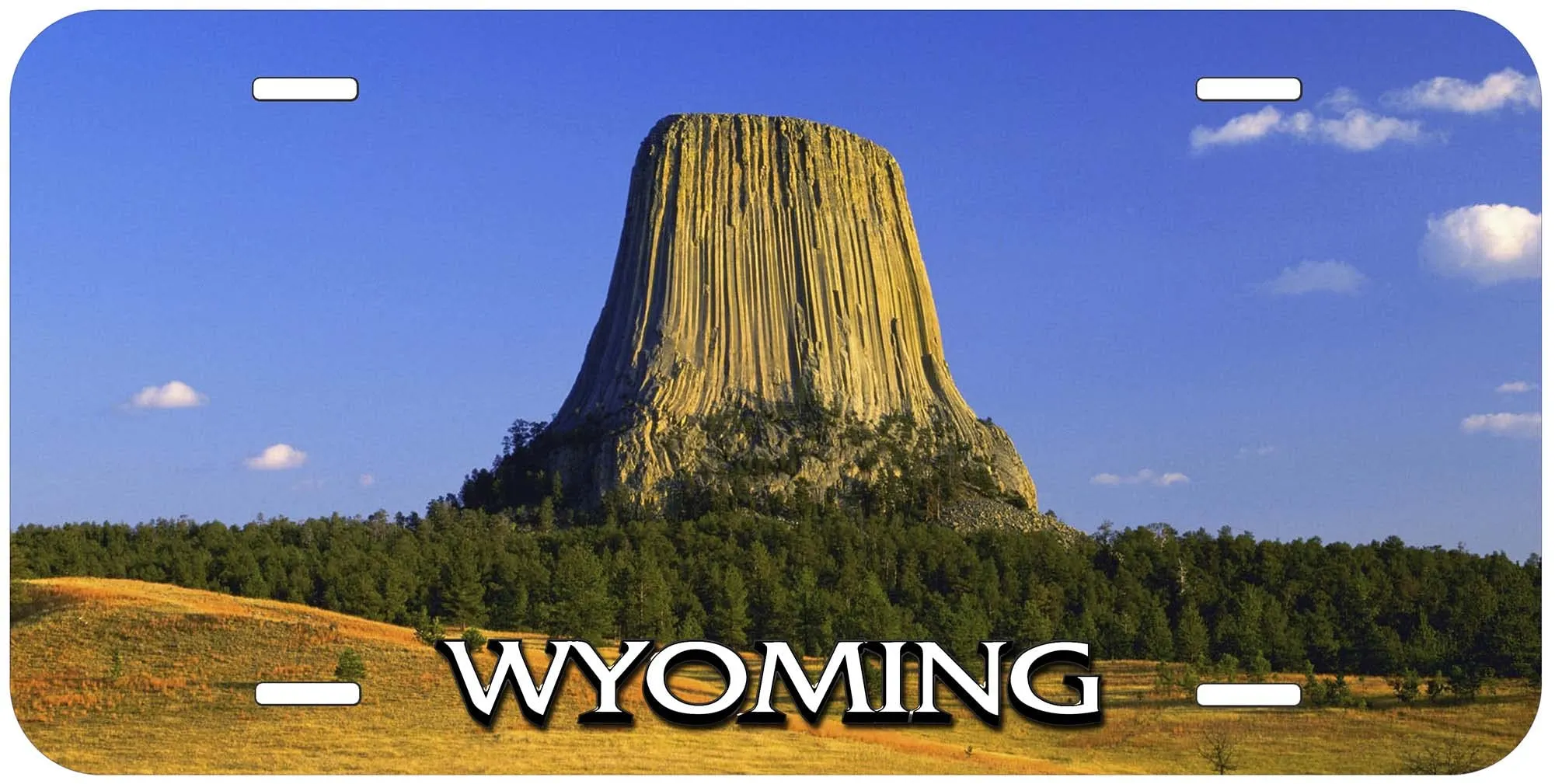 Devils Tower Wyoming Novelty License Plate - 6x12 Inches, Durable Non-Fading Design