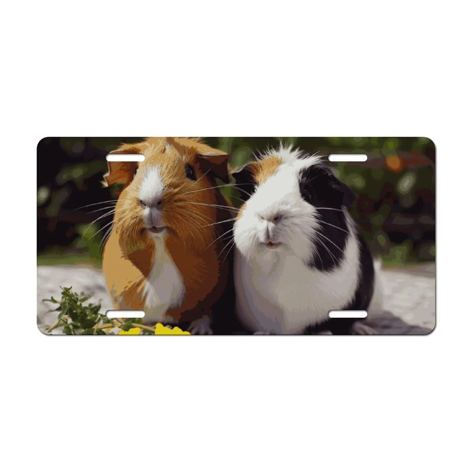 License Plate Cover - Waterproof Aluminum Frame, Guinea Pigs Funny Design, 6x12 Inch