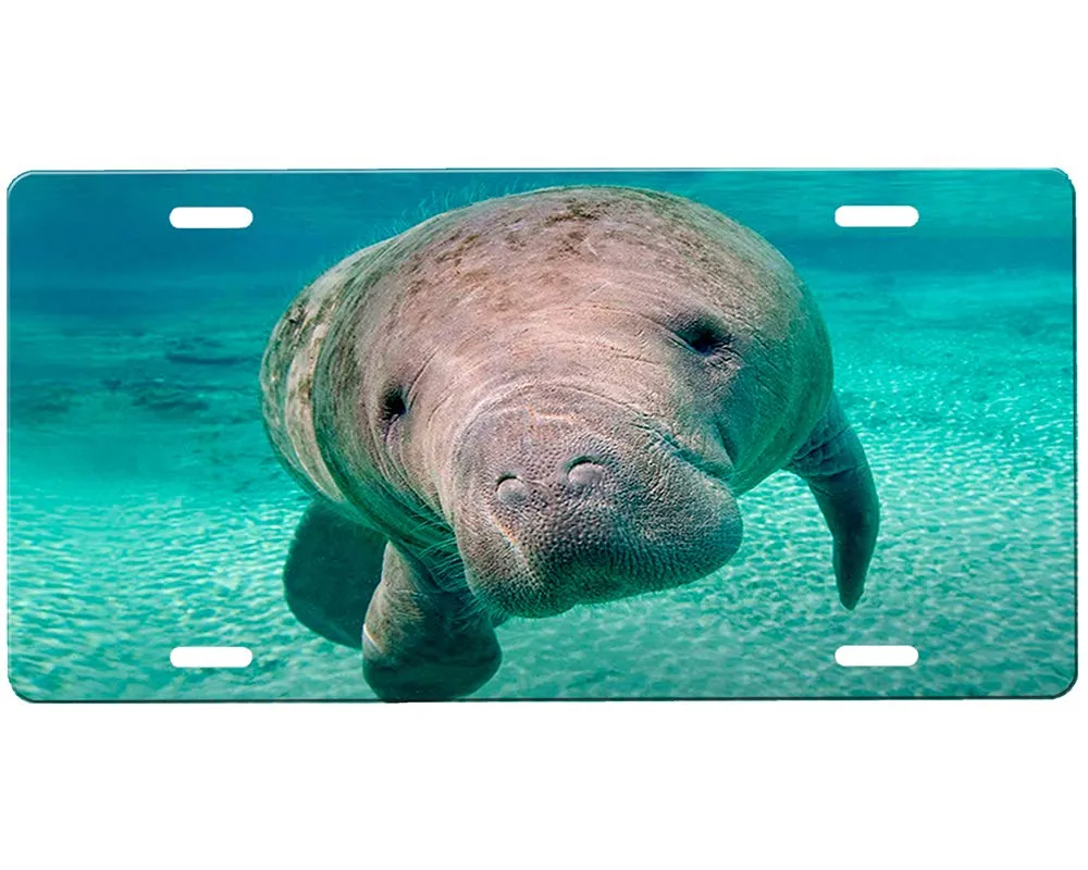 Manatee License Plate 12'x6' High Gloss Aluminum - Customizable, Durable, High-Quality Artwork