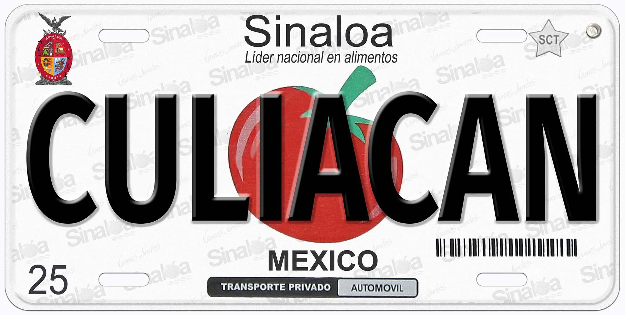 Sinaloa Culiacan Personalized Novelty Car License Plate, 6x12 Inches, Durable Aluminum, Any Name